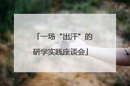 一场“出汗”的研学实践座谈会
