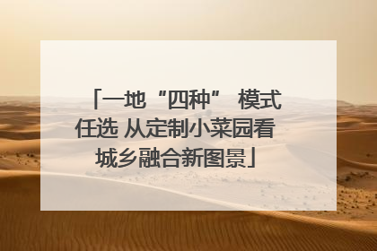 一地“四种” 模式任选 从定制小菜园看城乡融合新图景