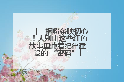 一捆粉条映初心！大别山这些红色故事里藏着纪律建设的 “密码”