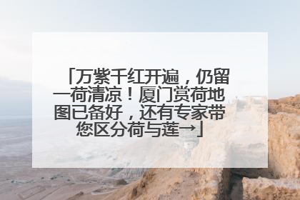 万紫千红开遍，仍留一荷清凉！厦门赏荷地图已备好，还有专家带您区分荷与莲→