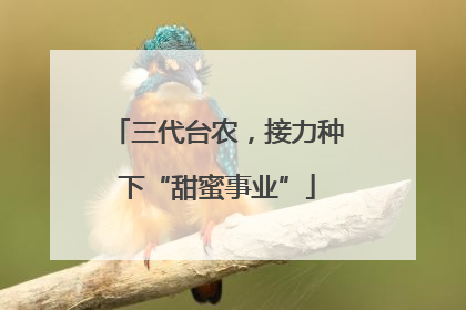 三代台农，接力种下“甜蜜事业”