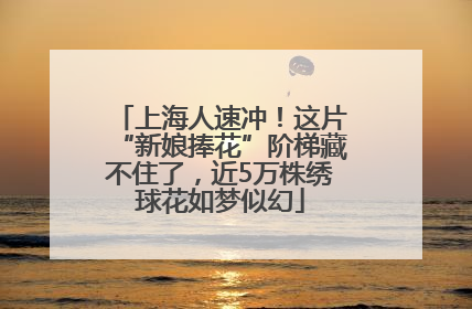 上海人速冲！这片“新娘捧花”阶梯藏不住了，近5万株绣球花如梦似幻