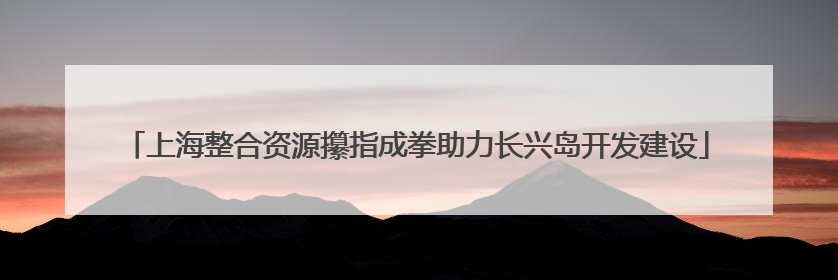 上海整合资源攥指成拳助力长兴岛开发建设