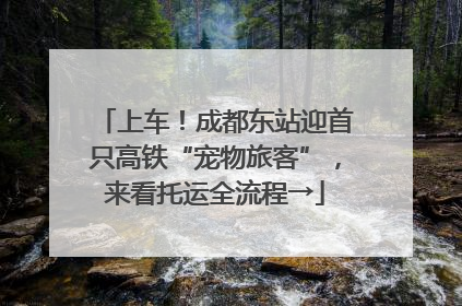 上车！成都东站迎首只高铁“宠物旅客”，来看托运全流程→