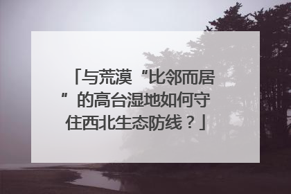 与荒漠“比邻而居”的高台湿地如何守住西北生态防线？