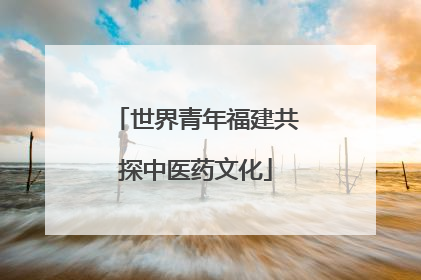 世界青年福建共探中医药文化