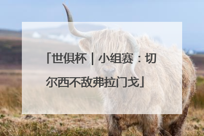 世俱杯｜小组赛：切尔西不敌弗拉门戈