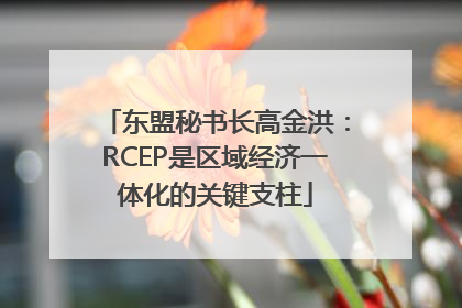 东盟秘书长高金洪：RCEP是区域经济一体化的关键支柱
