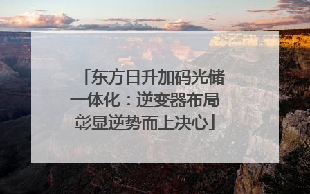 东方日升加码光储一体化：逆变器布局彰显逆势而上决心