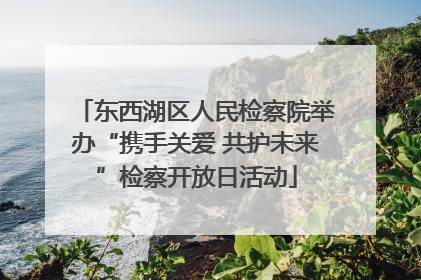 东西湖区人民检察院举办“携手关爱 共护未来”检察开放日活动