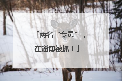 两名“专员”，在淄博被抓！