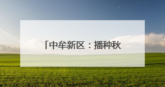 中牟新区：播种秋作物53万余亩 科技赋能丰收在望