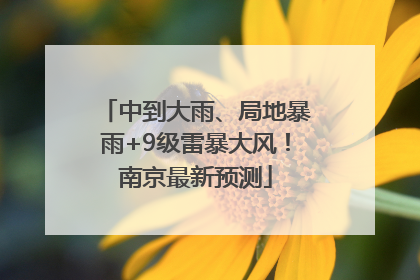 中到大雨、局地暴雨+9级雷暴大风！南京最新预测