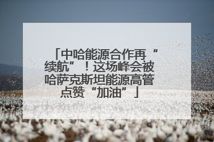 中哈能源合作再“续航”！这场峰会被哈萨克斯坦能源高管点赞“加油”