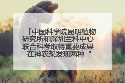 中国科学院昆明植物研究所和深圳兰科中心联合科考取得重要成果 在神农架发现两种“国保”级兰花