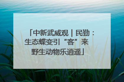 中新武威观｜民勤：生态蝶变引“客”来 野生动物乐逍遥