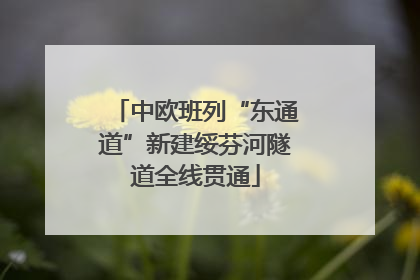 中欧班列“东通道”新建绥芬河隧道全线贯通