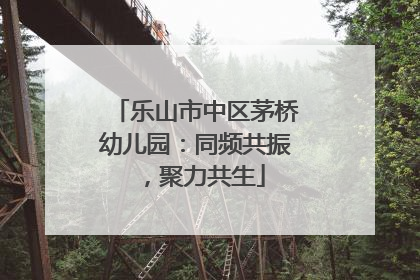 乐山市中区茅桥幼儿园：同频共振，聚力共生