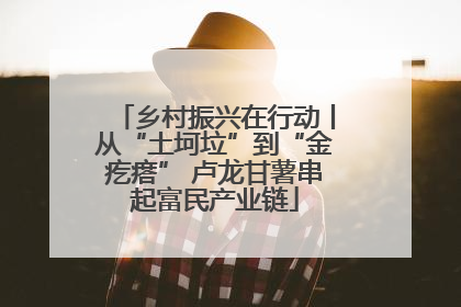 乡村振兴在行动丨从“土坷垃”到“金疙瘩” 卢龙甘薯串起富民产业链