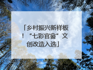 乡村振兴新样板！“七彩官畲”文创改造入选