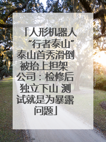 人形机器人“行者泰山”泰山首秀滑倒被抬上担架 公司：检修后独立下山 测试就是为暴露问题