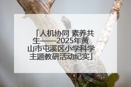 人机协同 素养共生——2025年黄山市屯溪区小学科学主题教研活动纪实