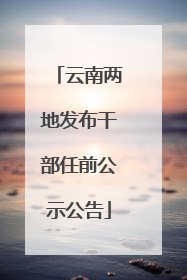 云南两地发布干部任前公示公告