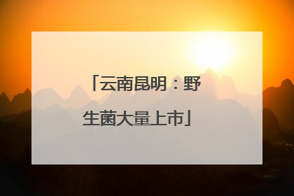 云南昆明：野生菌大量上市