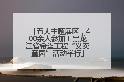 五大主题展区，400余人参加！黑龙江省希望工程“义卖童园”活动举行