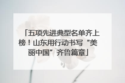 五项先进典型名单齐上榜！山东用行动书写“美丽中国”齐鲁篇章