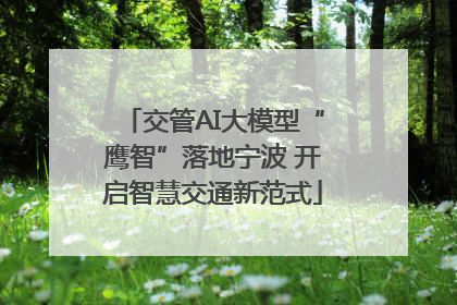 交管AI大模型“鹰智”落地宁波 开启智慧交通新范式