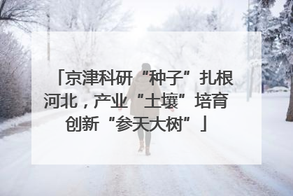 京津科研“种子”扎根河北，产业“土壤”培育创新“参天大树”
