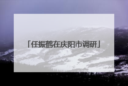 任振鹤在庆阳市调研