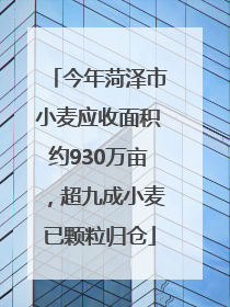 今年菏泽市小麦应收面积约930万亩，超九成小麦已颗粒归仓