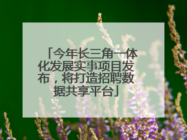 今年长三角一体化发展实事项目发布，将打造招聘数据共享平台