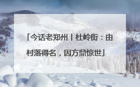 今话老郑州丨杜岭街：由村落得名，因方鼎惊世