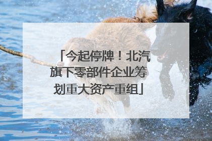 今起停牌！北汽旗下零部件企业筹划重大资产重组