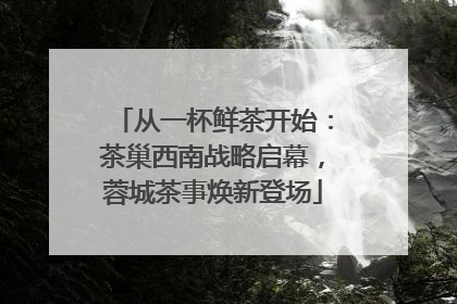 从一杯鲜茶开始：茶巢西南战略启幕，蓉城茶事焕新登场