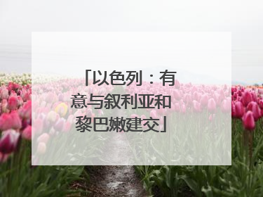 以色列：有意与叙利亚和黎巴嫩建交