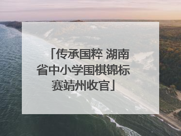 传承国粹 湖南省中小学围棋锦标赛靖州收官