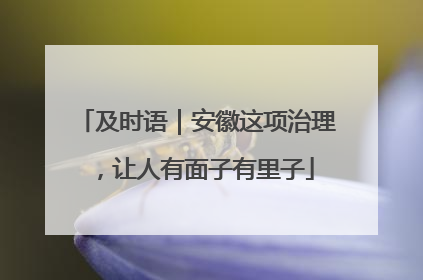 及时语｜安徽这项治理，让人有面子有里子