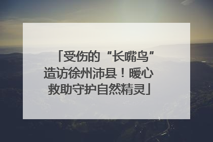 受伤的“长嘴鸟”造访徐州沛县！暖心救助守护自然精灵