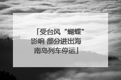 受台风“蝴蝶”影响 部分进出海南岛列车停运