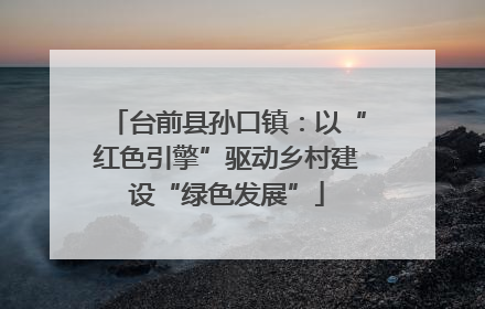 台前县孙口镇：以“红色引擎”驱动乡村建设“绿色发展”