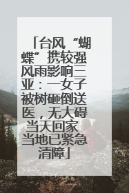 台风“蝴蝶”携较强风雨影响三亚：一女子被树砸倒送医，无大碍当天回家 当地已紧急清障