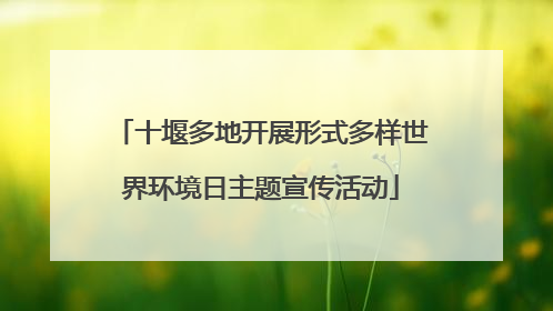 十堰多地开展形式多样世界环境日主题宣传活动