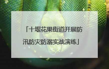 十堰花果街道开展防汛防灾防溺实战演练