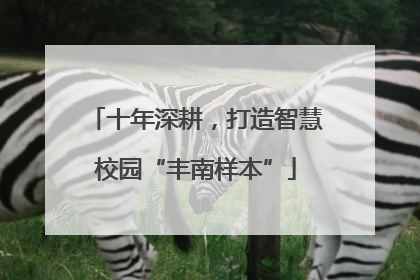 十年深耕，打造智慧校园“丰南样本”