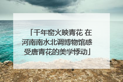 千年窑火映青花 在河南南水北调博物馆感受唐青花的美学悸动