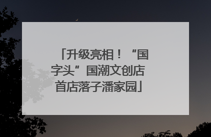 升级亮相！“国字头”国潮文创店首店落子潘家园